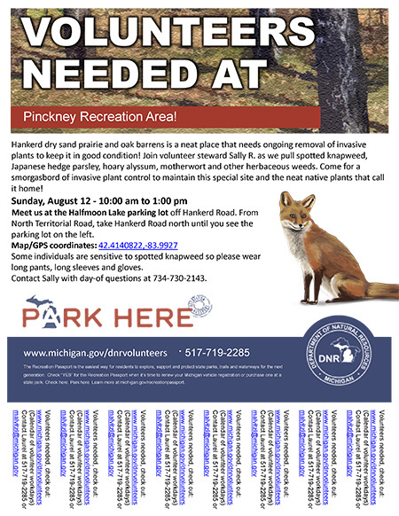 DNR Flyers