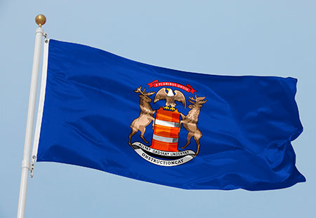 Michigan Flag