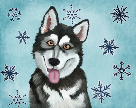 Alaskan Malamute holiday portrait