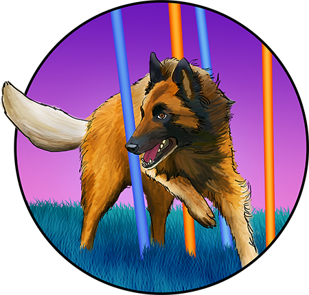 Belgium Tervuren agility illustration