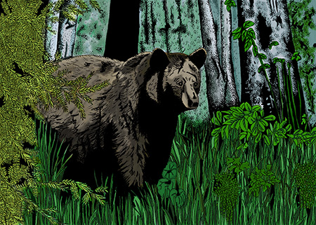 Black Bear wildlife nature painting