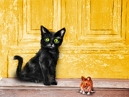 Cat & Mouse