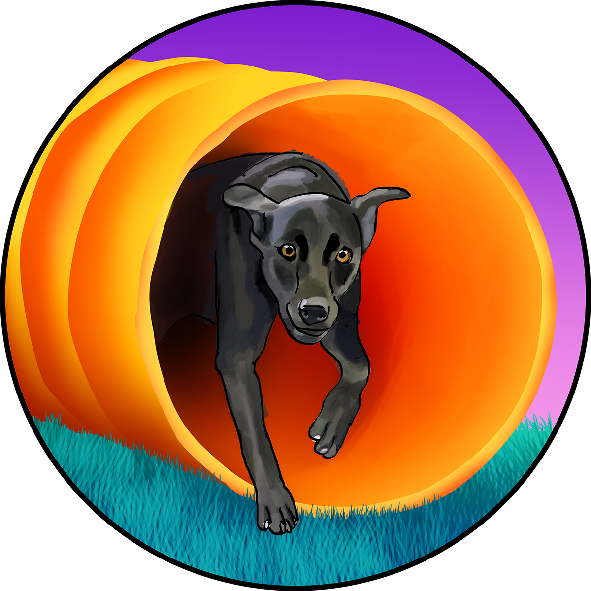 dog agility illustration