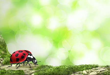 Lady Bug: Nature Painting