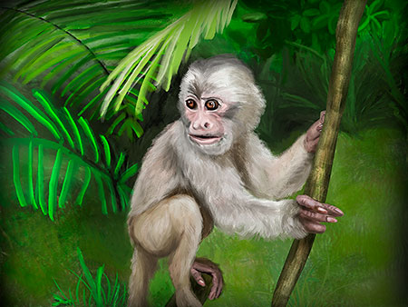 Monkey Painting