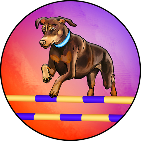 Dog agility illustration