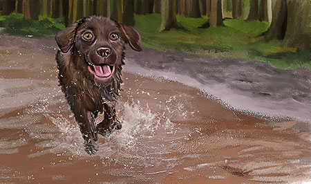 Chocolate Lab Illustration