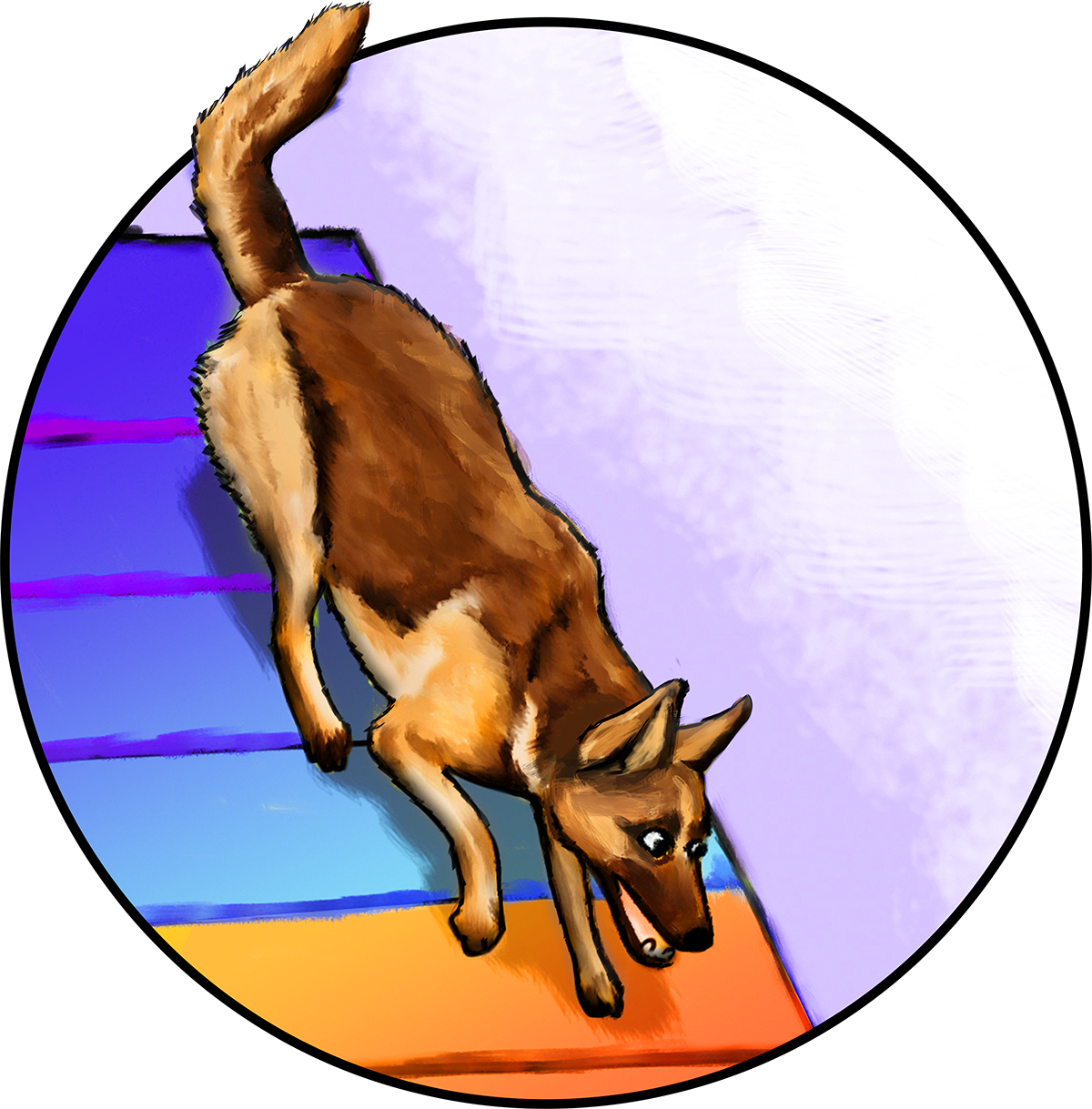 dog agility illustration