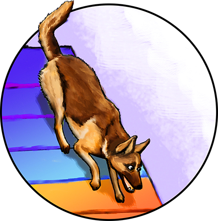 Dog agility illustration