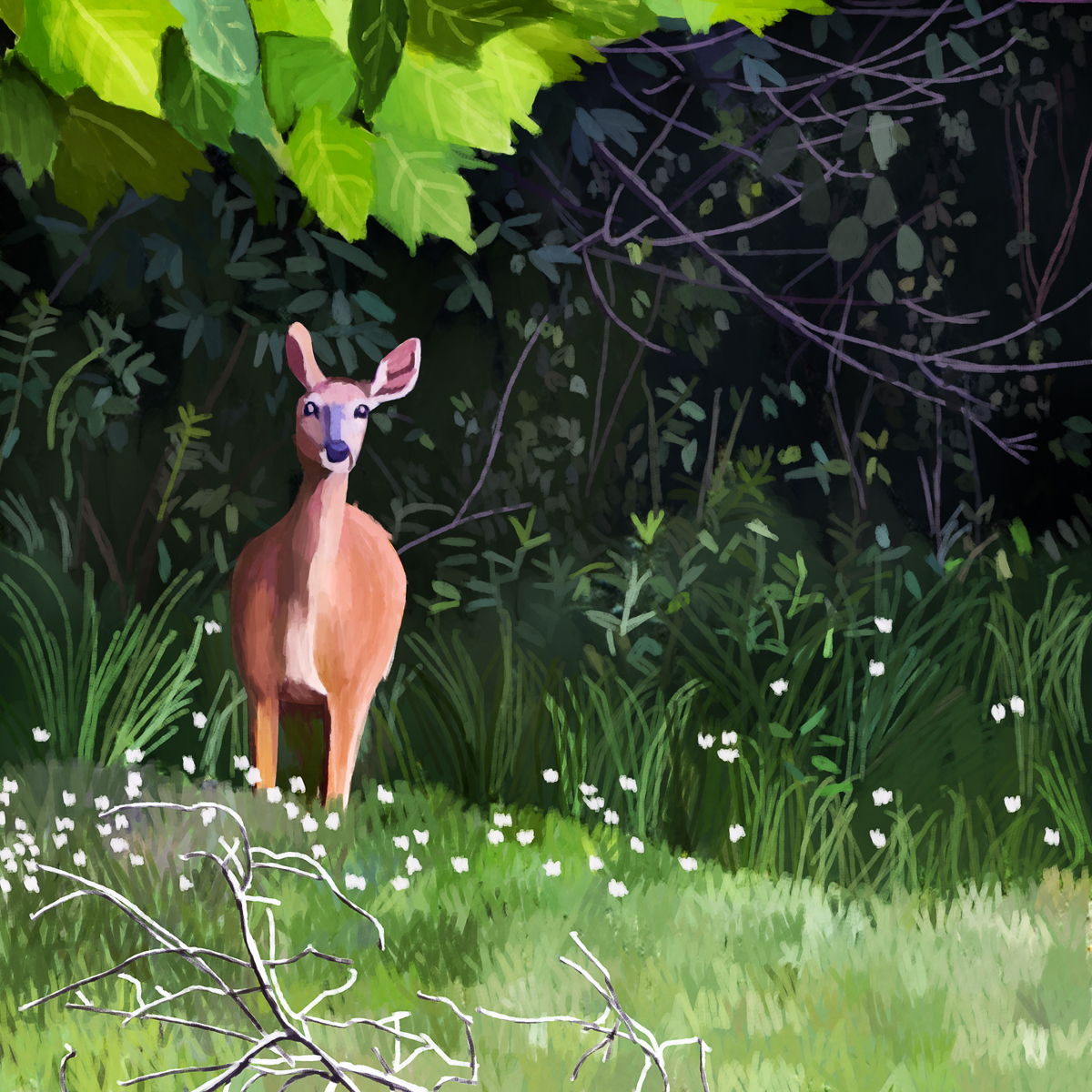 Wildlfie deer painting