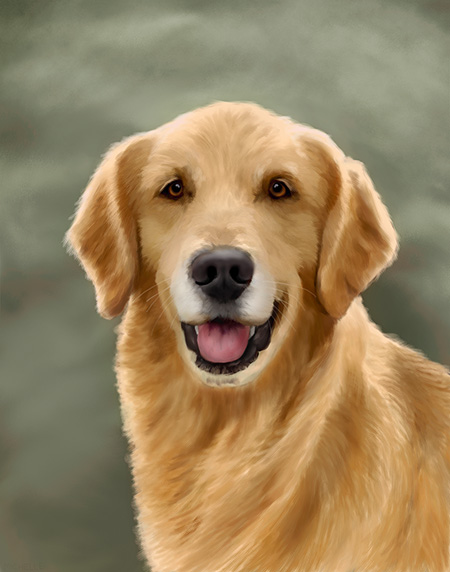 Dog Portrait