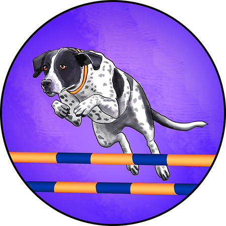 Pointer agility illustration