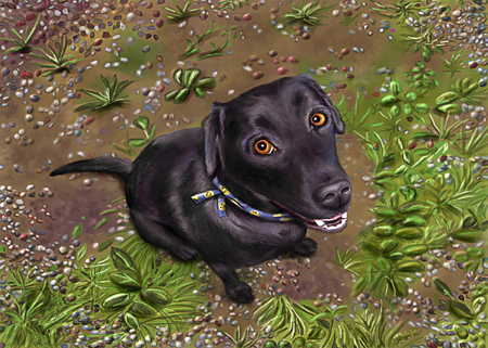 Black Labrador Retriever Painting