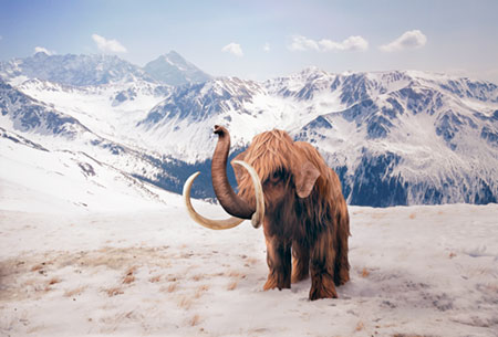 Mammoth